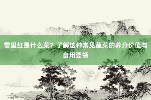 雪里红是什么菜？了解这种常见蔬菜的养分价值与食用要领