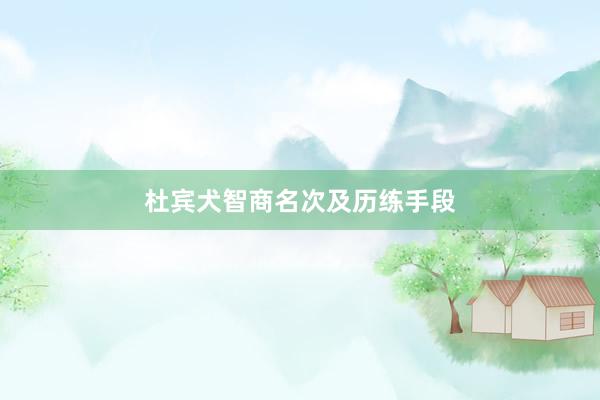 杜宾犬智商名次及历练手段